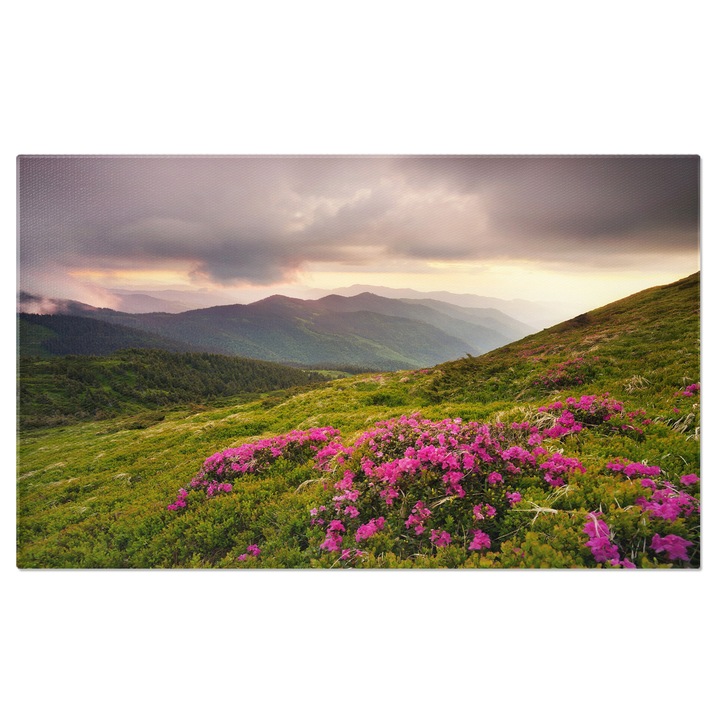 Tablou Canvas Flori in Munti la Rasarit Munti, Flori, Natura, Peisaj, Rasarit de Soare 40x25CM