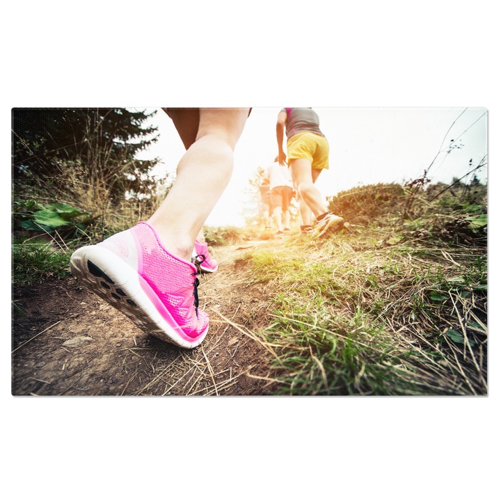 Tablou Canvas Drum si Iarba Uscata in Desertul Atacama, road, peisaj, calatorie 40x25CM