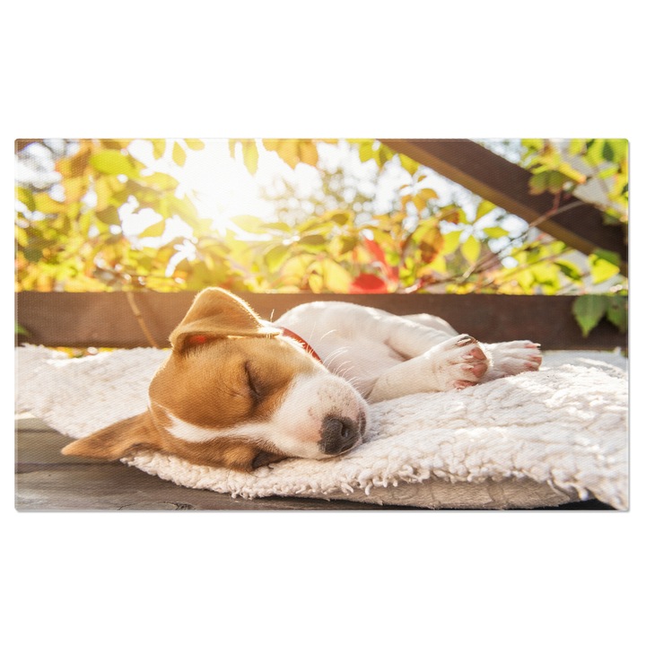 Tablou Canvas Jack Russell Terrier la Semineu, dog, fireplace, hygge, warm, home 140x90CM