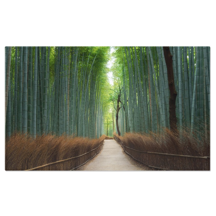 Tablou Canvas Padure de Bambus Japonez la Arashiyama I, Japonia, bambus, calatorie, arashiyama 90x60CM