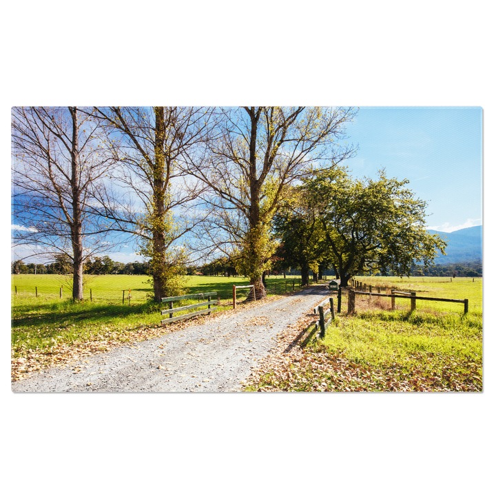 Картина на платно Lilydale to Warburton Bike Track in Australia, колоездене, активност, природа, приключение 100x70CM