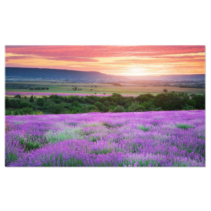 Картина на платно Lavender Camp, лавандула, поле, пейзаж, природа, цвете, лилаво, синьо, красота, селско стопанство, растение, парфюм, ферма, цвят, ваканция, пътуване 90x60CM