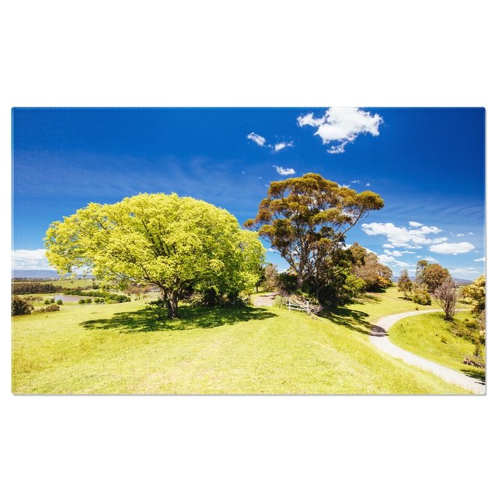 Tablou Canvas Circuitul Mount Lofty in Melbourne, Australia, Padure, Peisaj, Drumetie, Natura 140x90CM