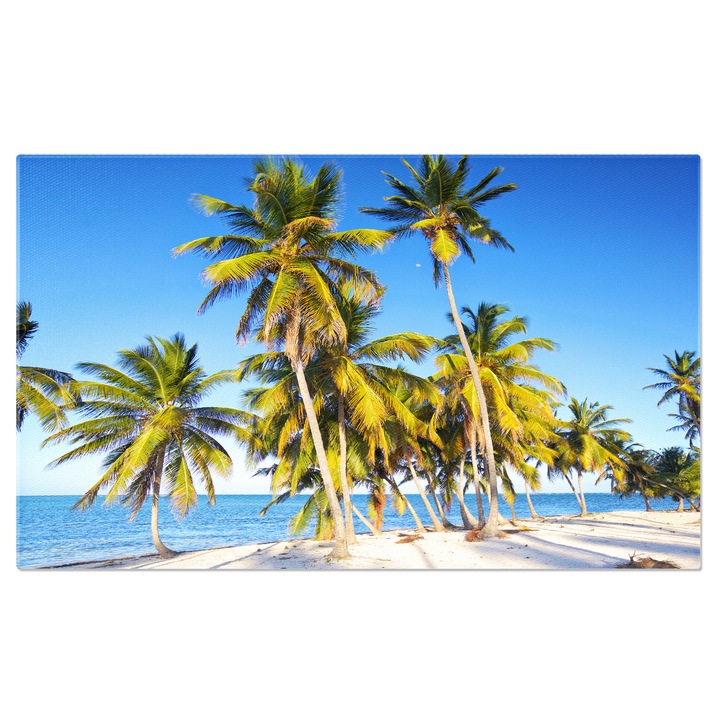 Tablou Canvas Plaja cu Palmieri Plaja, Ocean, Nisip, Tropic, Exotic 40x25CM