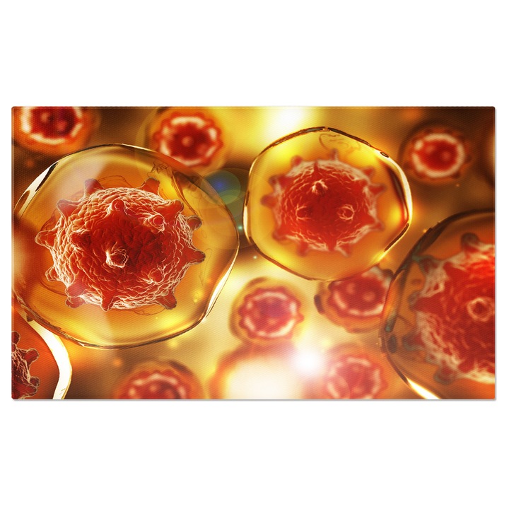 Tablou Canvas Calea catre Soare Peisaj, Rasarit, Cale, Drum, Soare 40x25CM