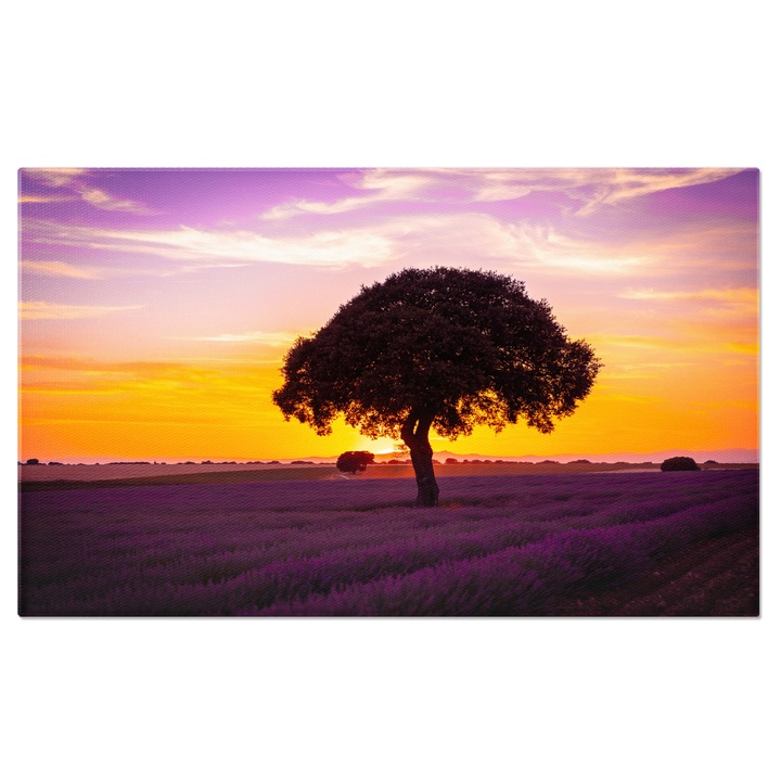 Картина на платно Залез в лавандулово поле, лавандула, залез, цветя, лято, ароматерапия. 120х80СМ