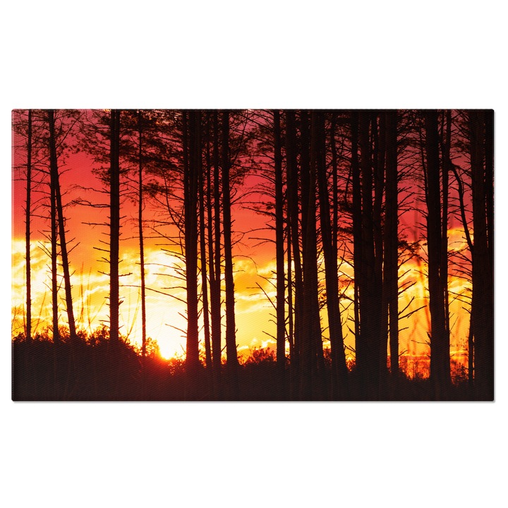 Картина на платно Изгрев и залез в боровата гора, гора, изгрев, залез, дървета, природа 100x70CM