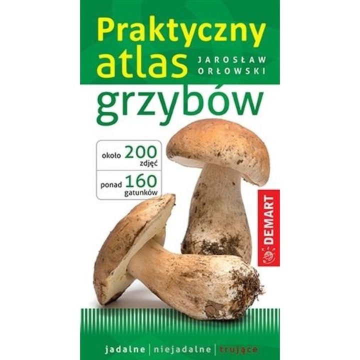 Praktyczy atlas, Demart, Poloneza, Multicolor