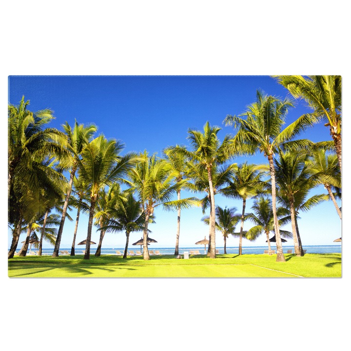 Tablou Canvas Plaja Tropicala cu Palmieri, plaja, palmieri, resort, mauritius, tropical 90x60CM