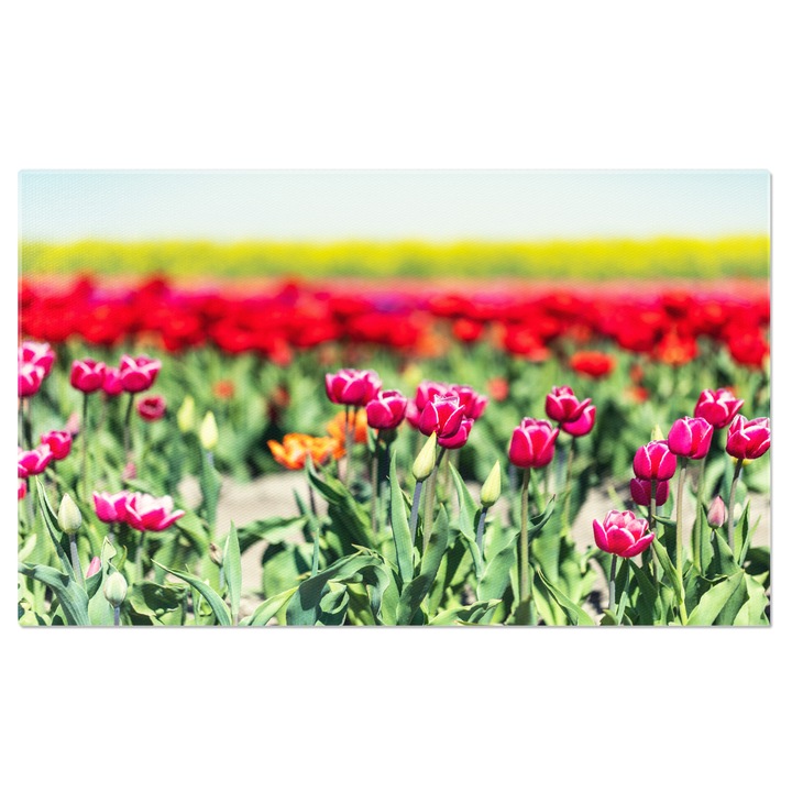 Tablou Canvas Vedere de Sus a Hong Kong-ului, peisaj urban, cladiri comerciale, arhitectura, China, skyline 140x90CM