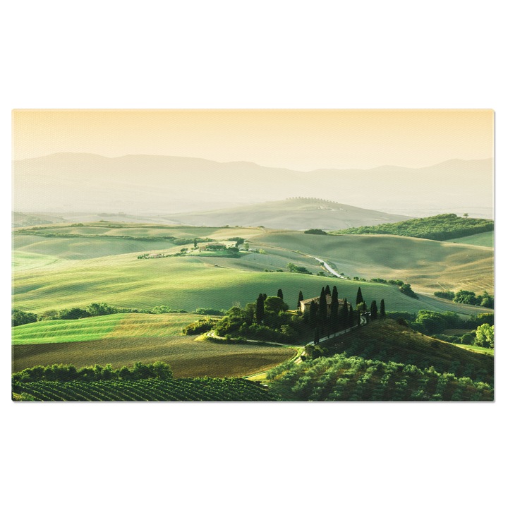 Tablou Canvas Peisaj Toscana la Rasarit, Casa taraneasca, Italia, vie, casa, toscana 70x50CM