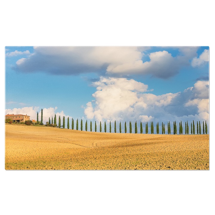 Tablou Canvas Peisaj Tipic Italian cu Ferma, Chiparos si Grau, ferma, italia, peisaj, toscana, agricol 140x90CM