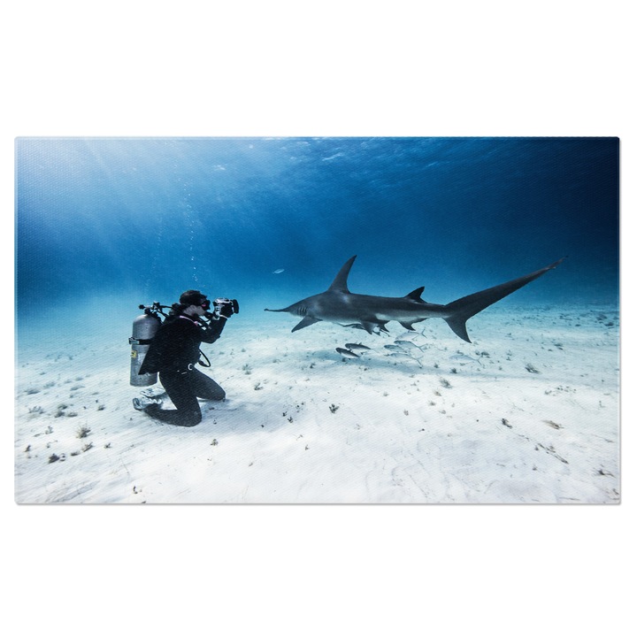 Картина на платно Подводен изглед на водолаз Фотография, гмуркане, хоби, под вода, риф, океан 70x50CM