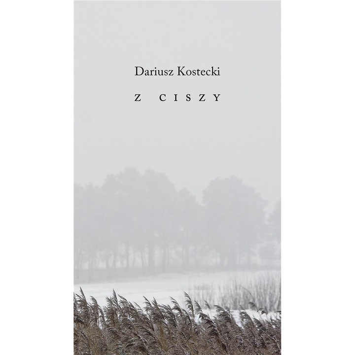 Z Ciszy - Dariusz Kostecki, Austeria, 2022