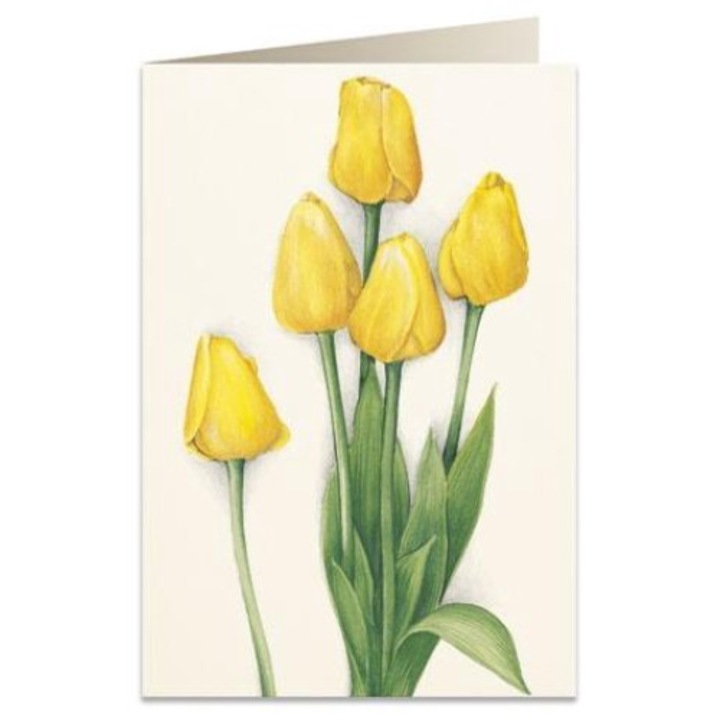 Felicitare B6, Tassotti, Carton, Multicolor