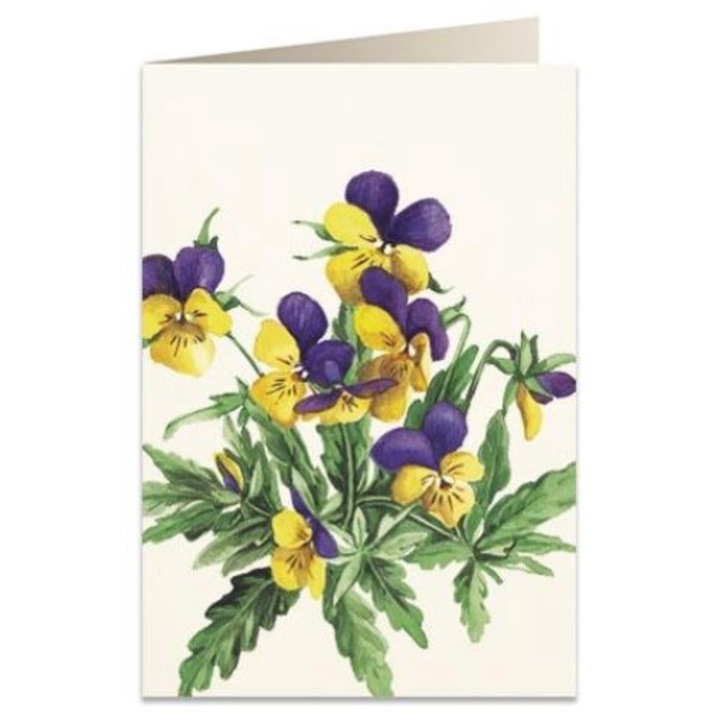 Felicitare B6, Tassotti, Carton, Multicolor