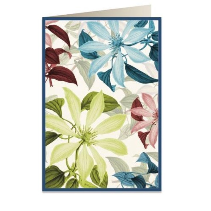 Felicitare B6, Tassotti, Carton, Multicolor