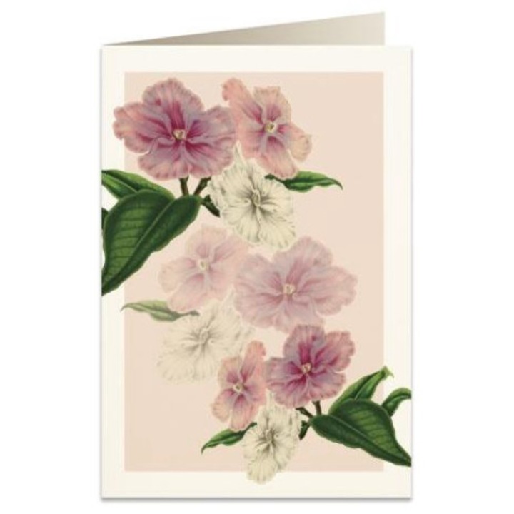 Felicitare B6, Tassotti, Carton, Multicolor