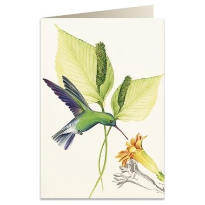 Felicitare B6, Tassotti, Carton, Multicolor