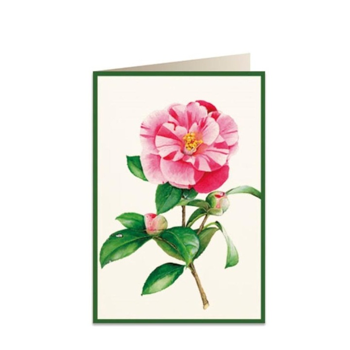 Felicitare B6, Tassotti, Carton, Multicolor