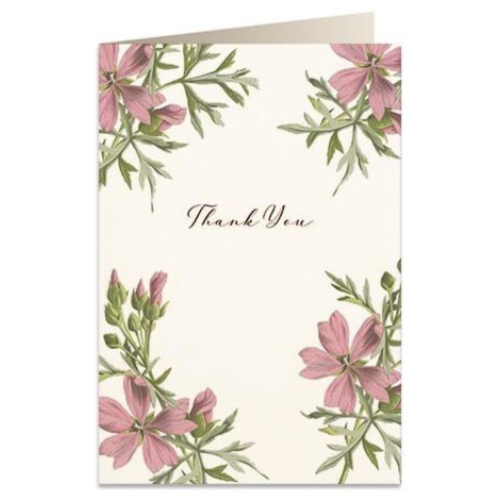 Felicitare B6, Tassotti, Carton, Multicolor