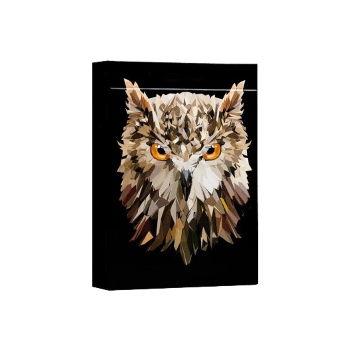Carti de joc premium The Watcher