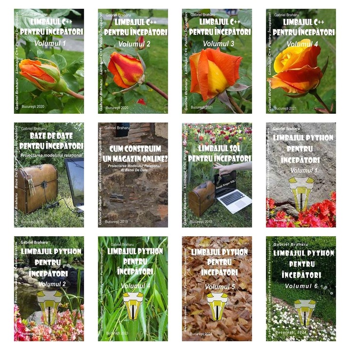 Set de 12 Carti Programare Incepatori (179), Gabriel Braharu, Colectia "Invata programare singur"