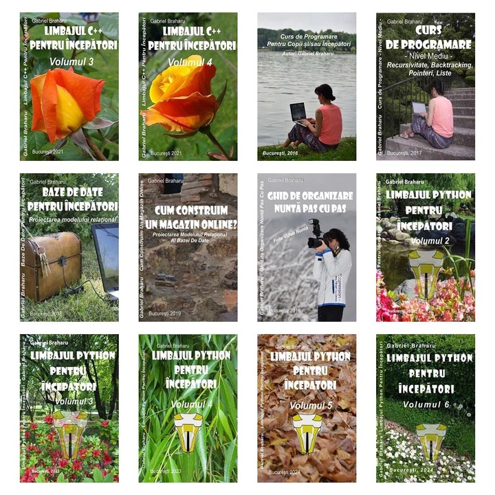 Set de 11+1 Carti Programare Incepatori (446), Gabriel Braharu, Colectia "Invata programare singur"