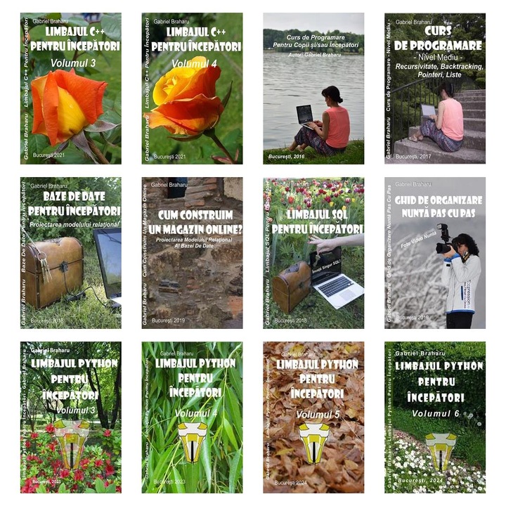 Set de 11+1 Carti Programare Incepatori (438), Gabriel Braharu, Colectia "Invata programare singur"