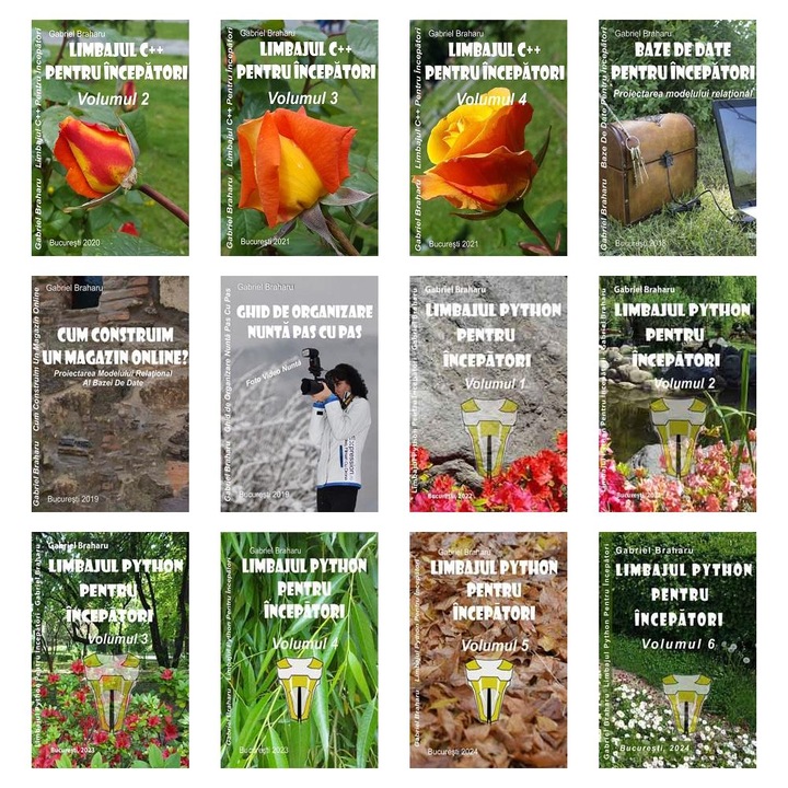 Set de 11+1 Carti Programare Incepatori (422), Gabriel Braharu, Colectia "Invata programare singur"