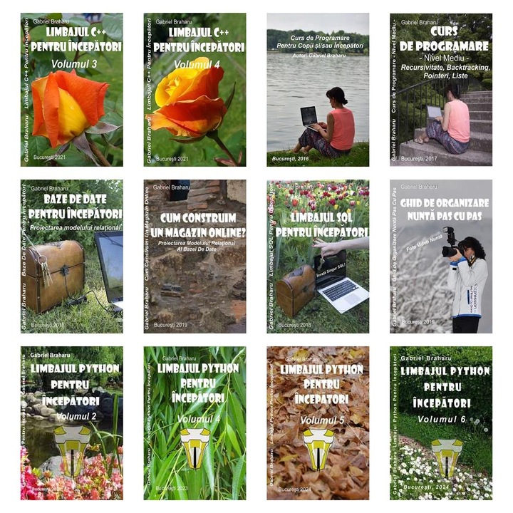 Set de 11+1 Carti Programare Incepatori (437), Gabriel Braharu, Colectia "Invata programare singur"