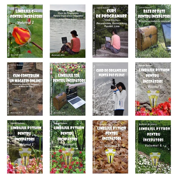Set de 11+1 Carti Programare Incepatori (424), Gabriel Braharu, Colectia "Invata programare singur"