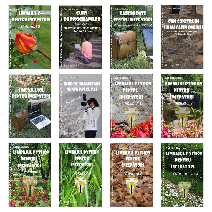 Set de 11+1 Carti Programare Incepatori (432), Gabriel Braharu, Colectia "Invata programare singur"