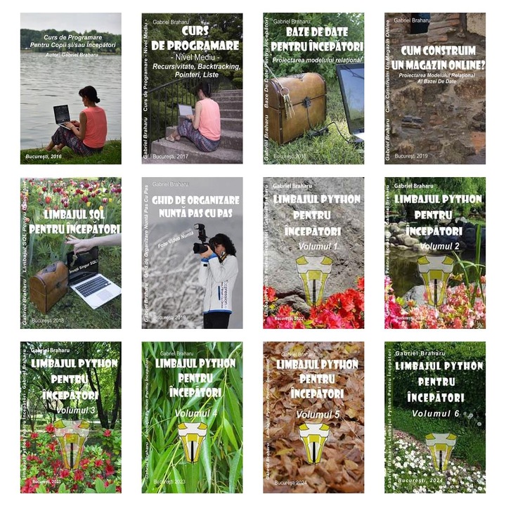 Set de 11+1 Carti Programare Incepatori (479), Gabriel Braharu, Colectia "Invata programare singur"