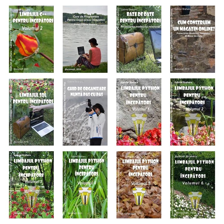 Set de 11+1 Carti Programare Incepatori (431), Gabriel Braharu, Colectia "Invata programare singur"