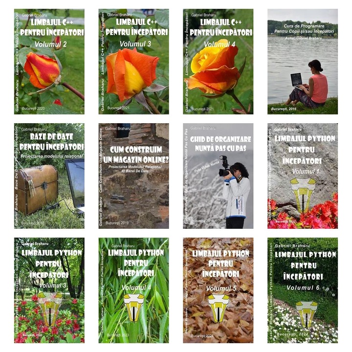 Set de 11+1 Carti Programare Incepatori (385), Gabriel Braharu, Colectia "Invata programare singur"