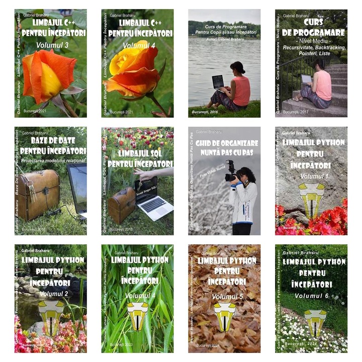 Set de 11+1 Carti Programare Incepatori (449), Gabriel Braharu, Colectia "Invata programare singur"
