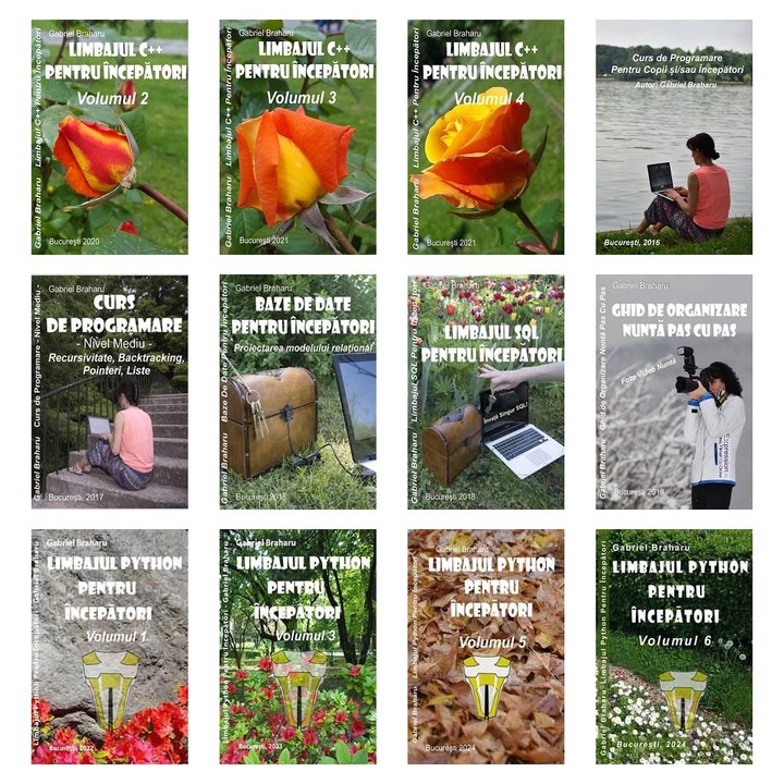 Set de 11+1 Carti Programare Incepatori (353), Gabriel Braharu, Colectia "Invata programare singur"
