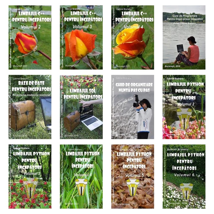Set de 11+1 Carti Programare Incepatori (391), Gabriel Braharu, Colectia "Invata programare singur"