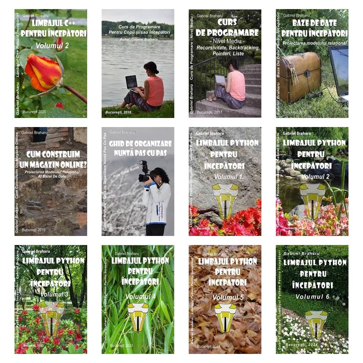 Set de 11+1 Carti Programare Incepatori (429), Gabriel Braharu, Colectia "Invata programare singur"