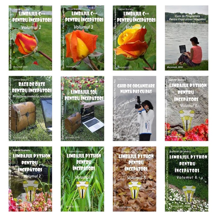 Set de 11+1 Carti Programare Incepatori (389), Gabriel Braharu, Colectia "Invata programare singur"