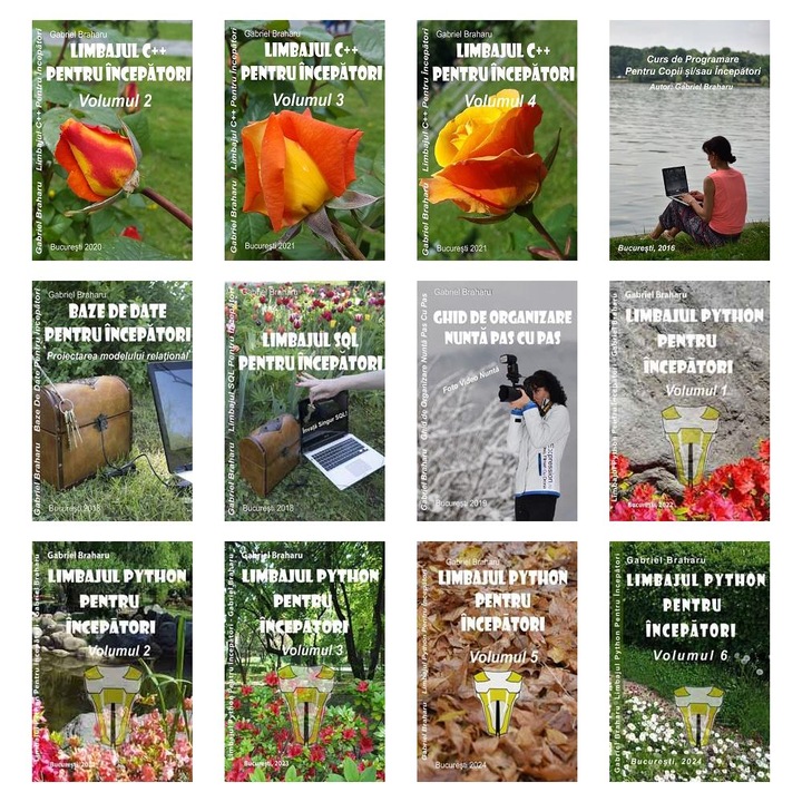Set de 11+1 Carti Programare Incepatori (388), Gabriel Braharu, Colectia "Invata programare singur"