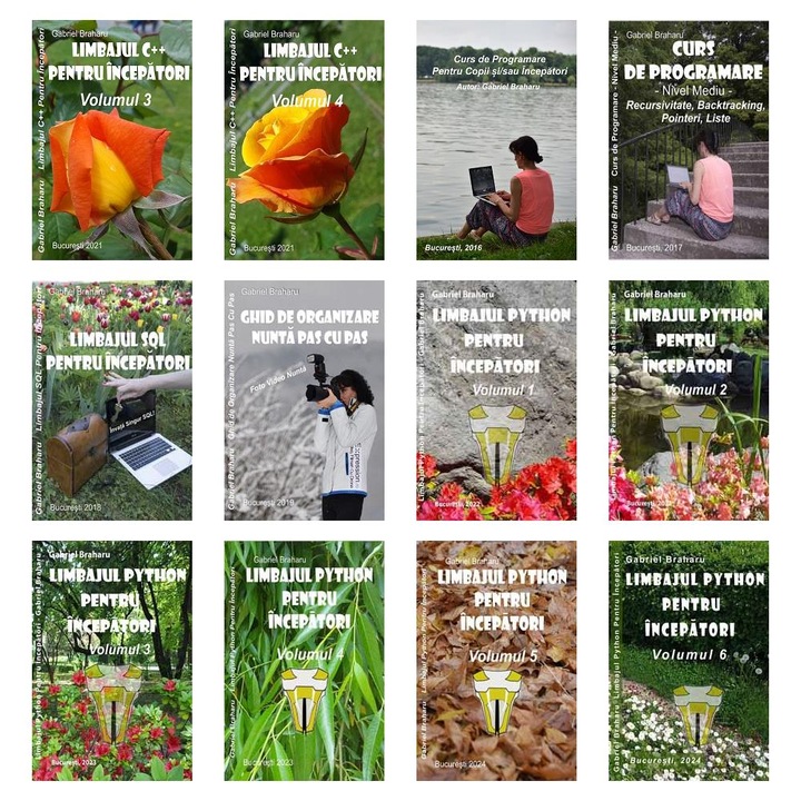 Set de 11+1 Carti Programare Incepatori (454), Gabriel Braharu, Colectia "Invata programare singur"