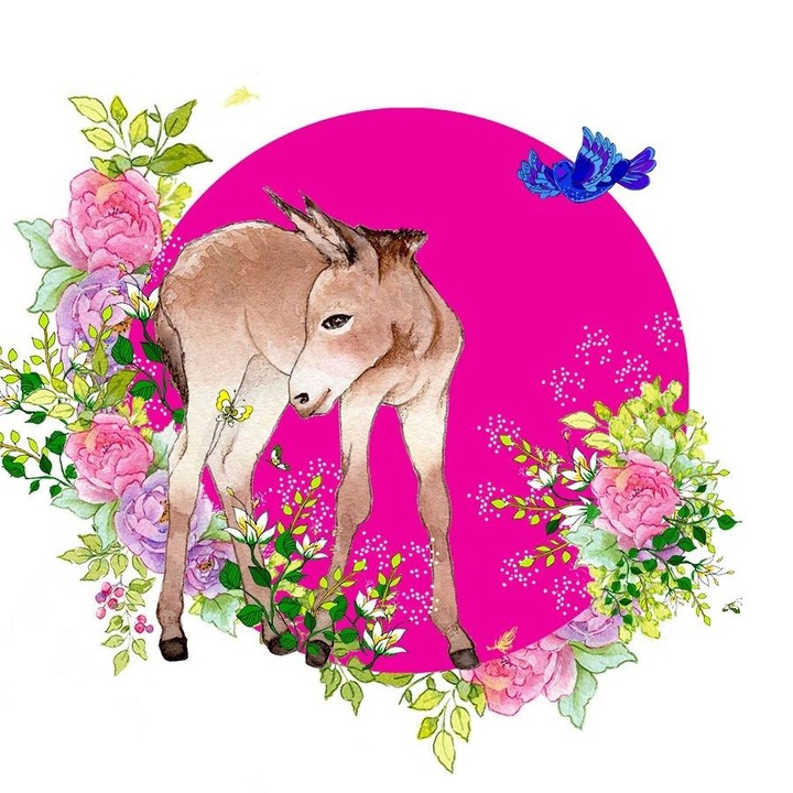 Felicitare, Clear Creations, Multicolor