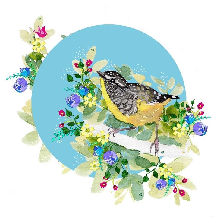 Felicitare, Clear Creations, Carton, Multicolor