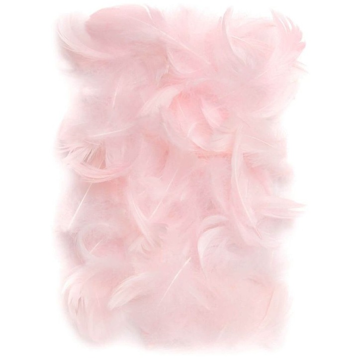 Pene decorative, dp Craft, 10g, Roz