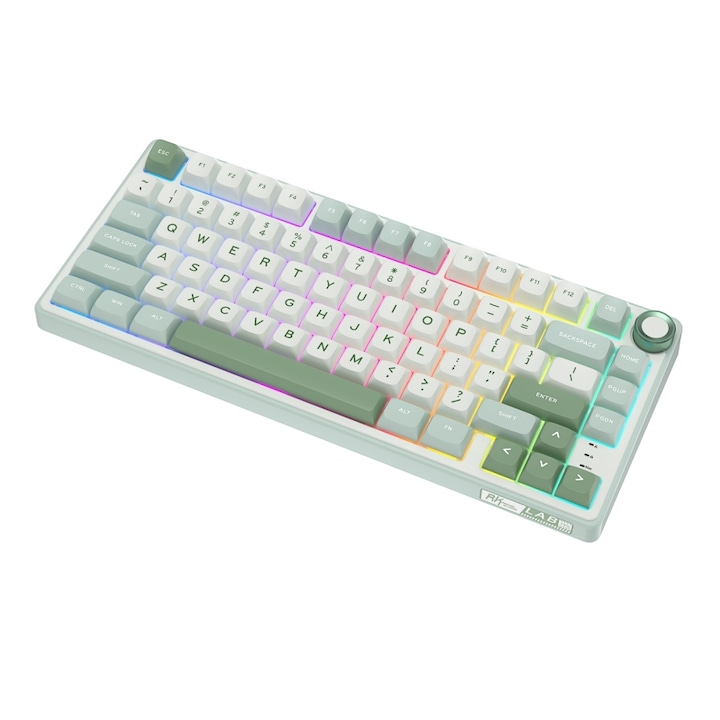 Tastatura mecanica Royal Kludge USB-C, 75%, 81 taste, buton inteligent, RGB, switch silver, RKR75-SKYCYAN