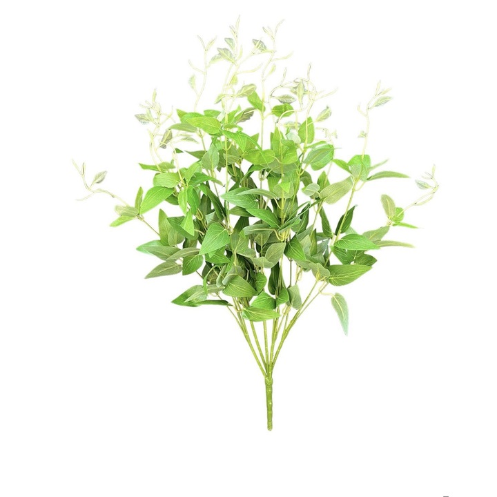 Rama de verdeata, 55 cm