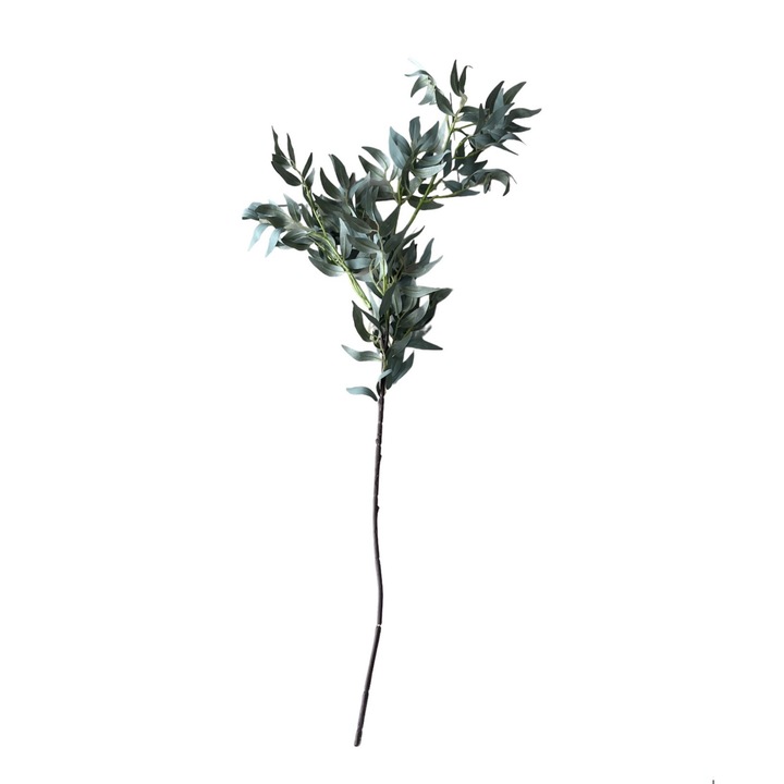 Ramura de maslin, culoare verde 100h cm