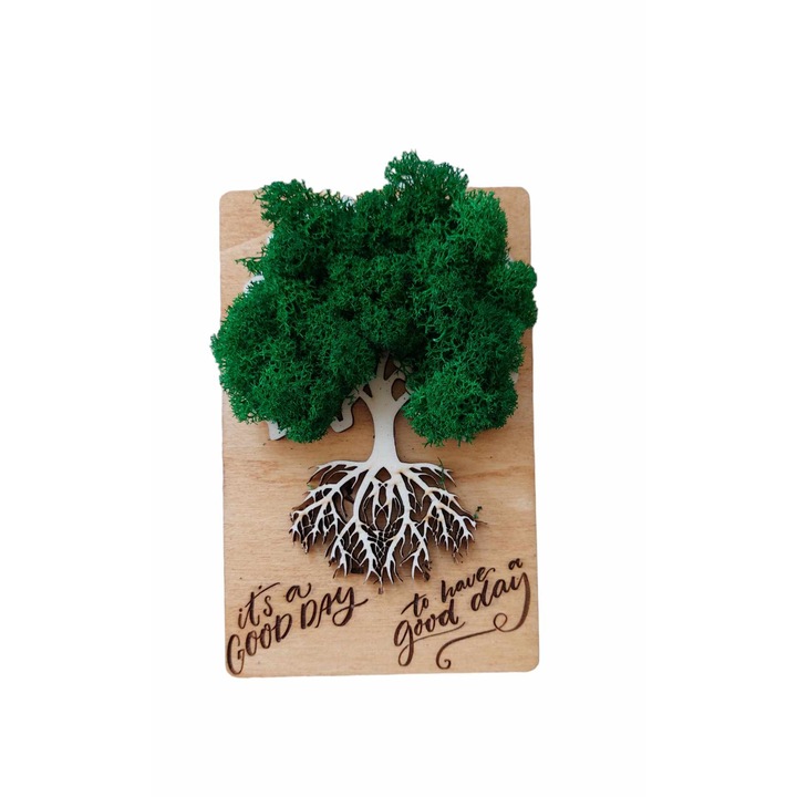 Aranjament floral, cu licheni si magnet, Mesaj motivational, 14x9 cm